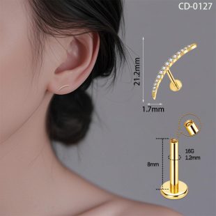 Titanium alloy earrings and earrings G23 titanium jewelry