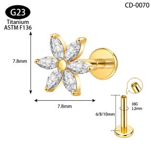 G23 anti allergic titanium alloy earrings