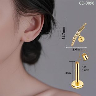 Titanium alloy G23 anti allergic zircon earrings